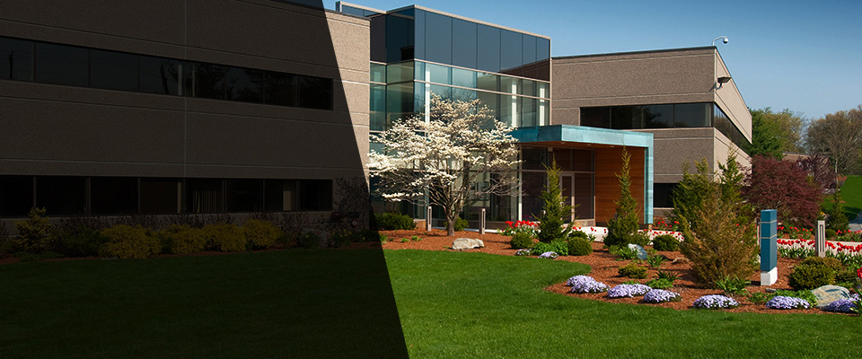 Odessa Landscapers