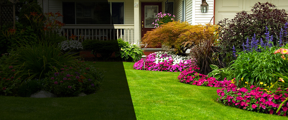 Odessa Landscapers