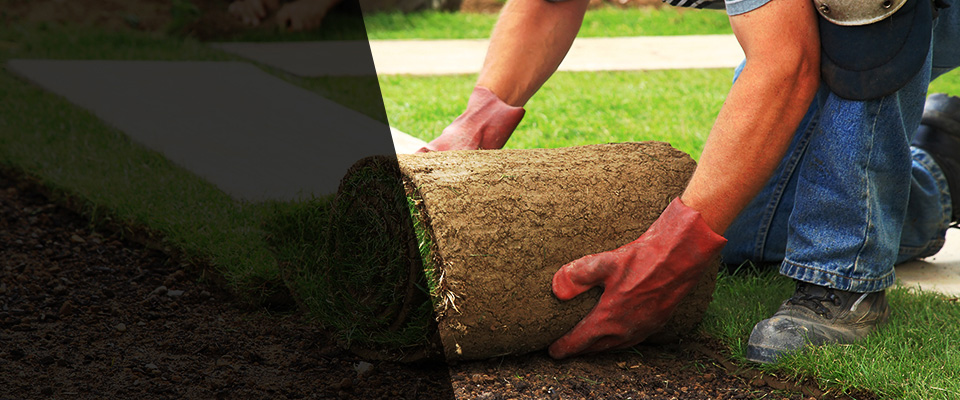 Odessa Landscapers